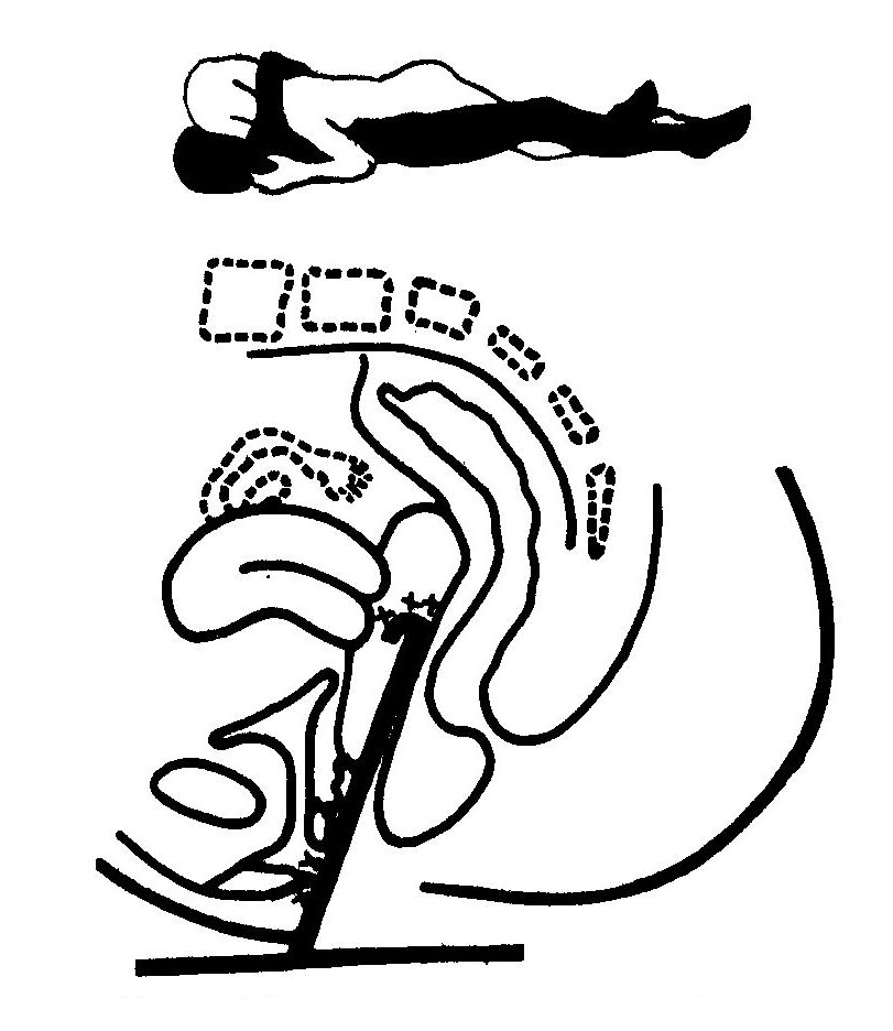 Reverse lying position, the sex doll on the man
